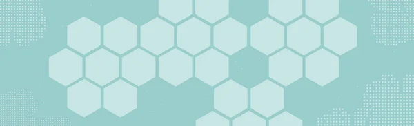 Hexagons Szürke Fehér Háttér Illusztráció — Stock Vector