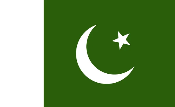 巴基斯坦国旗的精确比例 矢量说明 — 图库矢量图片