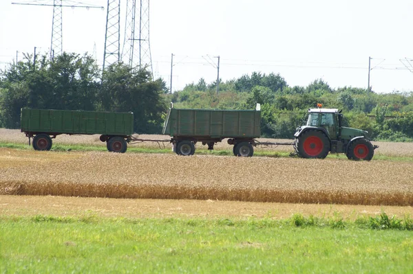 小麦を収穫するトラクターに乗る — ストック写真
