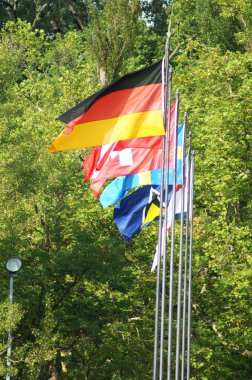 Farklı ülkelerin bayrak direğindeki gelişim bayrakları ağaçların arka planına karşı