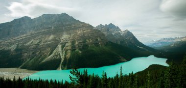 Rocky Dağları'ndaki Peyto Gölü'nün pictoresque görünümü, Banff Ulusal Parkı, Alberta, Kanada. 