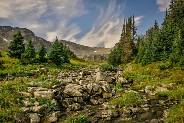 Rocky Dağları'ndaki Little Shovel Geçidi çevresindeki bir vadinin manzarası, Jasper Ulusal Parkı, Alberta, Kanada