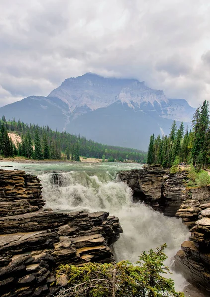 Magníficas Cataratas de Athabasca nas Montanhas Rochosas, Parque Nacional Jasper, Montanhas Rochosas, Alberta, Canadá. Essas cachoeiras foram as primeiras no Canadá que vi, e à primeira vista fiquei impressionado. . — Fotografia de Stock