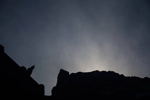 Raven no topo do pico em torno de Banff Gondola nas Montanhas Rochosas, Banff National Park, Alberta, Canadá . — Fotografia de Stock