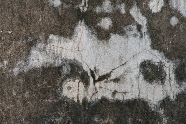 Eski beton duvar arka plan çatlama