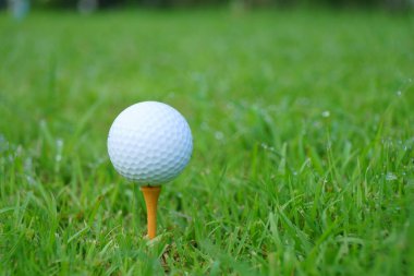 Arka plan, kopya alanı ders Golf topu ve golf yeşil sahada