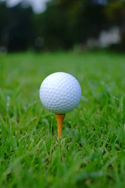 Pelota Golf Tee Con Fondo Campo Oro Listo Para Tee —  Fotos de Stock