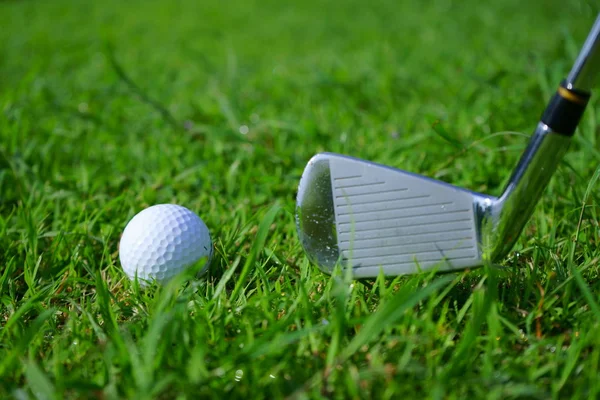 Golf ball and tee on golf green course background, copy space