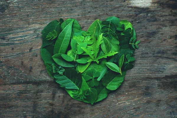 Creative artwork layout of assorted green leafs arranged into heart shape, eco friendly romantic love concept, copy space