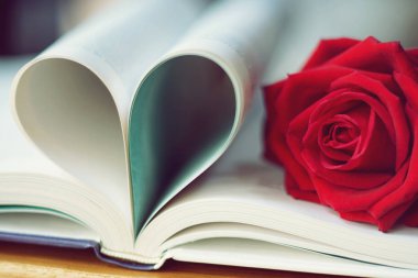 Güzel kırmızı renk kitap roll üzerine gül kalp şekli, yumuşak renk tonu, tatlı Sevgililer sunu kavramı, kopya alanı