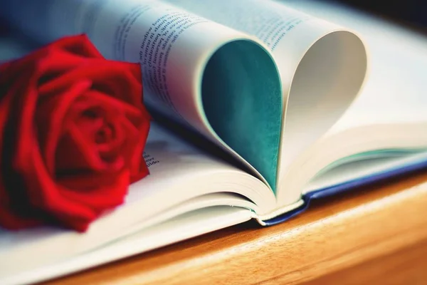 Precioso Color Rojo Rosa Rollo Libro Forma Corazón Tono Color —  Fotos de Stock