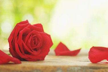 Güzel çiçek açan grubun kırmızı renk gül çiçek yaprakları ahşap masa arka plan üzerinde ile dekore edilmiş, tatlı Sevgililer sunmak kavram, kopya alanı