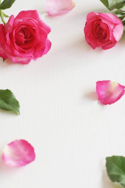 Beyaz masa artalanını, güzel Sevgililer günü arka plan kavramı, kopya alanı üzerinde zarif pembe gül doğal soft light