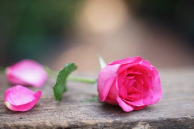 Gül çiçek yaprakları ahşap masa arka plan üzerinde ile dekore edilmiş tek şık pembe renkli tatlı Sevgililer sunmak kavram, kopya alanı