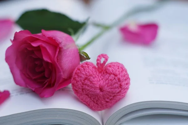 Lovely pink color rose on book roll into heart shape, soft color tone, sweet valentine presentation concept, copy space