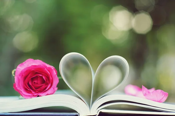 Lovely pink color rose on book roll into heart shape, soft color tone, sweet valentine presentation concept, copy space