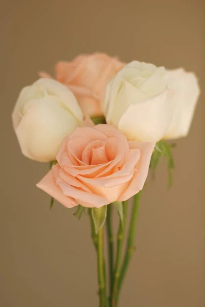 Beautiful white fresh moist rose flowers decorated with mini red heart figures on wood texture background, soft tone valentine flower concept, still life, copy space