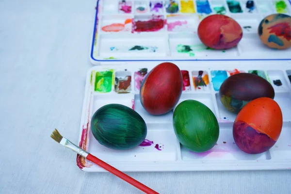 Colorful easter eggs painting activity with color tray background, fun event for kid concept, copy space