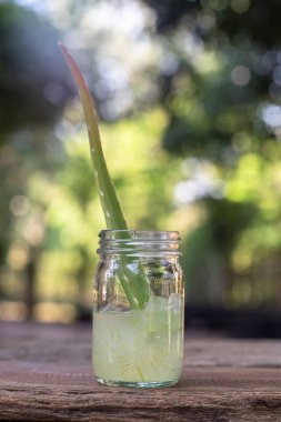 Taze aloe vera bitki, kök dilimleri ve jel ahşap arka plan, deri tedavisi kavramı, kopya alanı