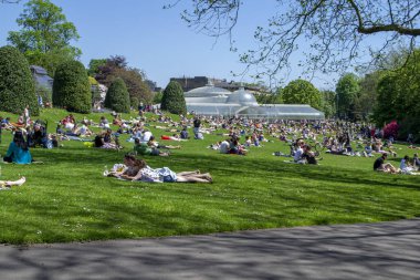 Glasgow / İskoçya - 26 Mayıs 2012: İnsanlar parkta güneşleniyorlar. Glasgow Botanik Bahçeleri İskoçya 'nın Glasgow şehrinin batısında yer alan bir botanik bahçesidir..