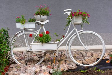 Bahçedeki saksılarda çiçekler olan beyaz retro bisiklet..