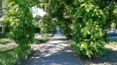 Parktaki bitkilerden yeşil koridor boyunca ilerleyin..