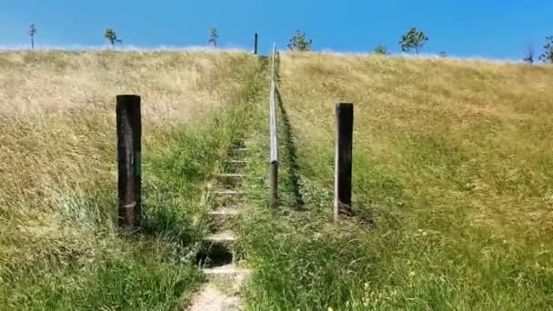 Όμορφη Θέα Του Λιβαδιού Ξύλινες Σκάλες Στην Ελβετία Swaying Γρασίδι — Αρχείο Βίντεο