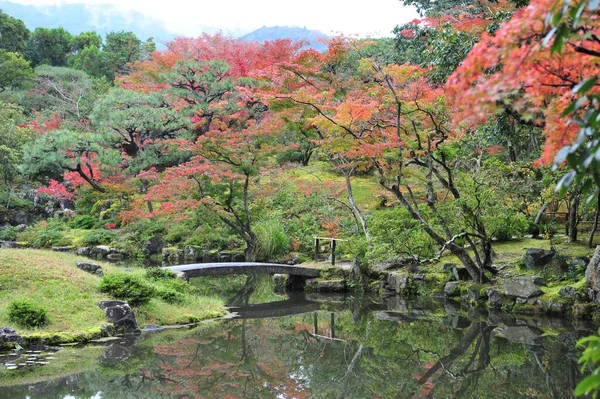 Japonya 'daki sonbahar bahçesinin güzel manzarası. Havuzun üzerindeki eski taş köprü ve parlak sonbahar yapraklı ağaçlar.. — Stok fotoğraf