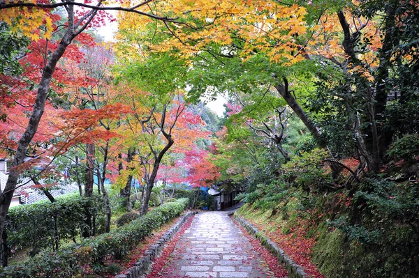 Krásná podzimní scenérie s kamennou cestou do parku a starého chrámu. — Stock fotografie