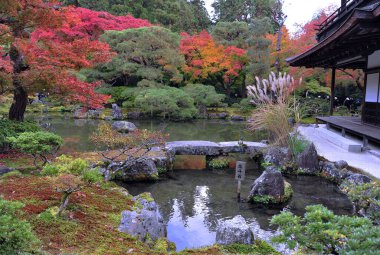 Sonbaharda Japon bahçesinin nefes kesici manzarası. Havuzun etrafında büyük taşları olan güzel akçaağaç ağaçları.