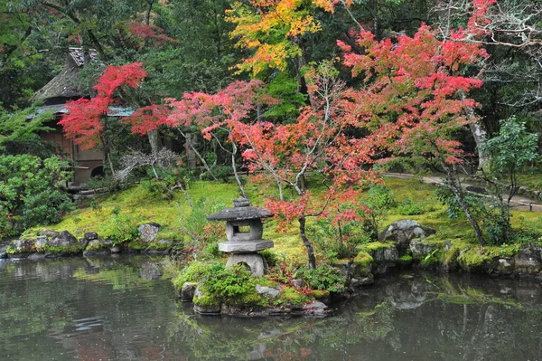 Adembenemend uitzicht op de Japanse tuin in de herfst. Prachtige esdoornbomen rond het zwembad met grote stenen. — Stockfoto