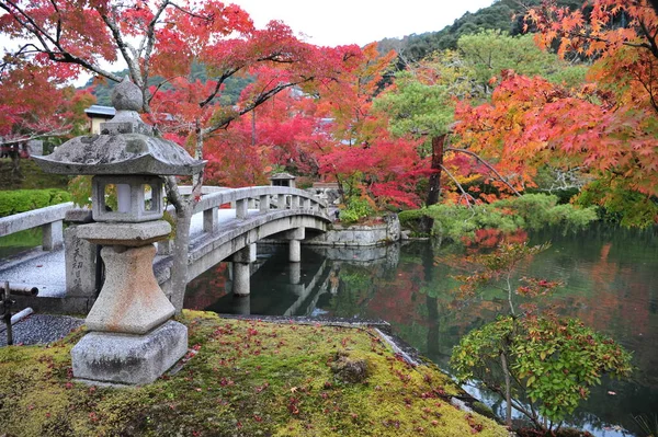 Dech beroucí pohled na japonskou zahradu na podzim. Krásné javory kolem bazénu s velkými kameny. — Stock fotografie