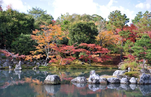 Dech beroucí pohled na japonskou zahradu na podzim. Krásné javory kolem bazénu s velkými kameny. — Stock fotografie