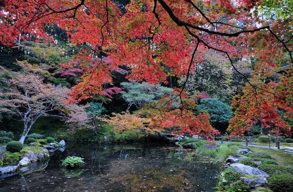 Krásná podzimní scenérie stromů v parku. Nádherná krása a harmonie přírody. — Stock fotografie