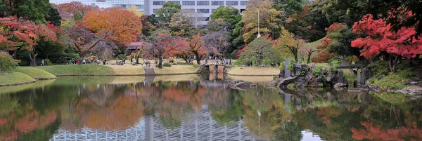 Krásná Panorama podzimních stromů v Shinjuku Gyoen National Garden v Japonsku. — Stock fotografie
