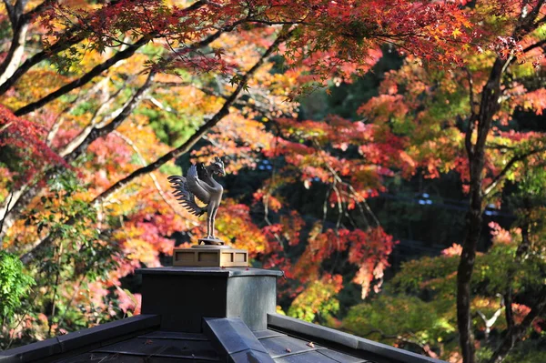 Krásná Hromada Červených Javorových Listí Nad Starou Střechou Budovy Podzimní — Stock fotografie