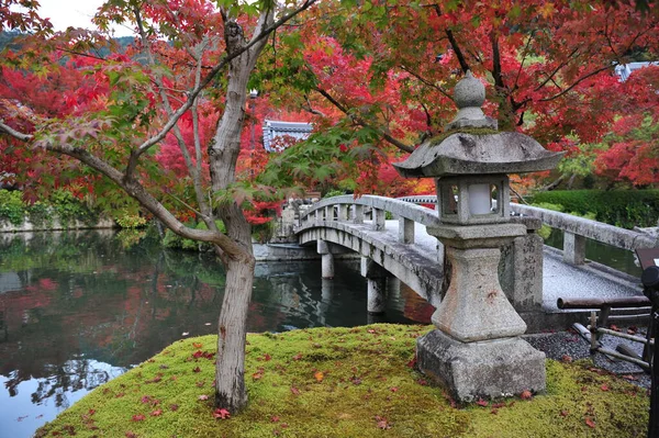Havuzun Üzerinde Güzel Kırmızı Akçaağaç Yaprakları Geleneksel Japon Köprüsü Feneri — Stok fotoğraf