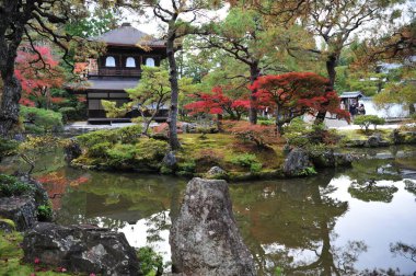 Sonbahar mevsiminde Japonya bahçesindeki eski geleneksel tapınağın nefes kesici manzarası. Yüksek kalite fotoğraf