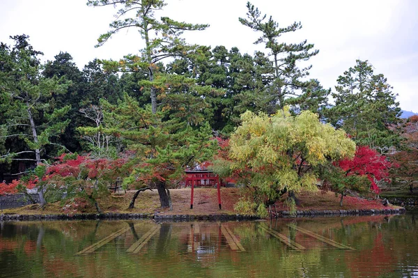 Sonbahar Mevsiminde Geleneksel Japon Bahçesinin Güzel Manzarası Yüksek Kalite Fotoğraf — Stok fotoğraf