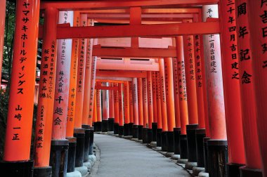 Binlerce ahşap Japon kapısından ünlü güzel koridor Fushimi Inari Tapınağı.