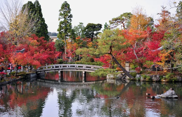 Havuzun üzerinde güzel kırmızı akçaağaç yaprakları ve geleneksel Japon köprüsü ve feneri. Sonbahar arkaplanı. — Stok fotoğraf