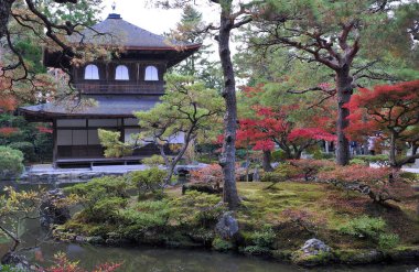 Sonbahar mevsiminde Japonya bahçesindeki eski geleneksel tapınağın nefes kesici manzarası.