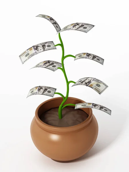 Pengar Växt Med 100 Dollar Räkningar Ersätter Blad Illustration — Stockfoto