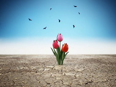 Yalnız çiçek ayakta kırık topraklarında. 3D çizim.