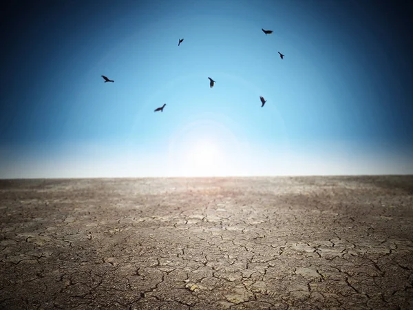 Cracked Desert Soil Blue Sky Illustration — Stock Photo, Image