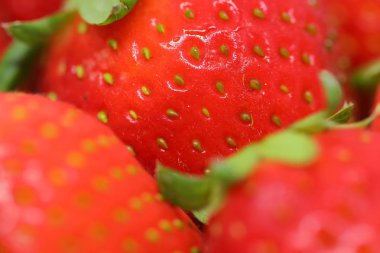 kırmızı çilek meyvesi