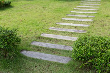 yeşil çim çim bahçe yolu geçit