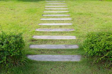 yeşil çim çim bahçe yolu geçit