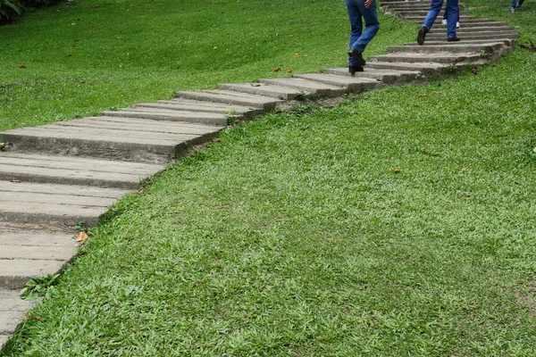 Camino de jardín pasarela en césped de hierba verde — Foto de Stock