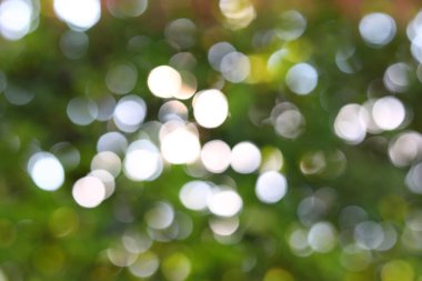 Güneş ışık yaz yeşil bokeh ile sabah bulanıklık